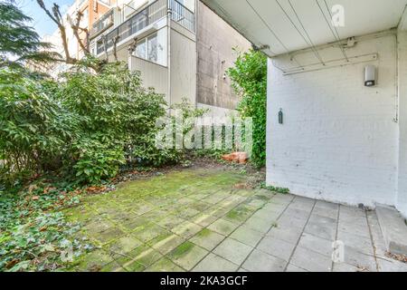 Hinterhof eines Hauses mit Bäumen und grünen Pflanzen neben anderen Häusern aufgereiht alt Stockfoto