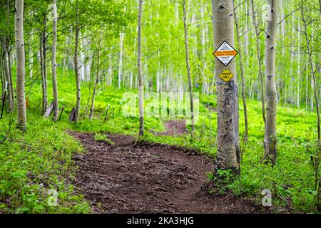 Mount Crested Butte, USA - 21. Juni 2019: Üppige Waldbäume in Aspen Hain im Sommer mit Schild auf dem Slodgrass Trail für steile Hügel und öffentliche Zugangsgenehmigung Stockfoto