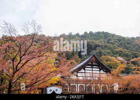 Kyoto, Japan - 9. April 2019: Stadtpark Maruyama mit Bergen und buddhistischem Holztempel im Frühjahr mit bewaldeten Hügeln und Kirschblüten-sak Stockfoto