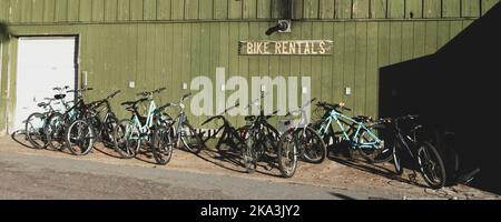 Reihe von Leihfahrrädern parkt vor dem grünen Gebäude mit hölzernem Fahrradverleih-Schild. Stockfoto