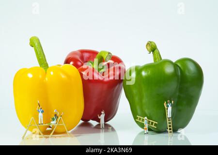 Ein Team von Malern mit Leiter und Gerüst malt rote, gelbe und grüne Paprika isoliert auf weißem Hintergrund Stockfoto