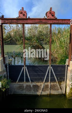 Holztüren im Bewässerungsgraben, um den ein- und Ausgang des Wasserflusses zu kontrollieren, Valencia Reisfelder Stockfoto