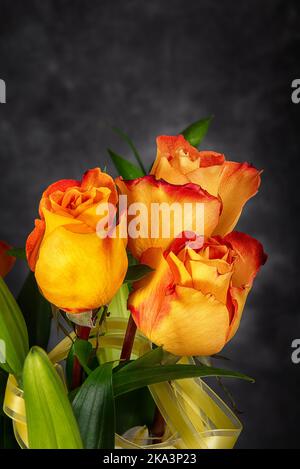Schöner Blumenstrauß aus drei gelb-orangen Rosen vor dunklem Hintergrund. Speicherplatz kopieren. Stockfoto