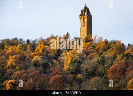 Herbstbaumfarben im Abbey Craig und Wallace Monument, Stirling, Schottland, Großbritannien Stockfoto