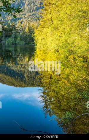 Cascade Lake im Moran State Park reflektiert das Licht des späten Nachmittags auf den Bäumen und Bergen darüber. Stockfoto