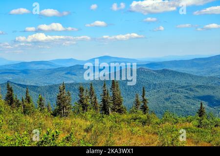 Sonnige Sommer Berglandschaft. Beliebtes Skigebiet Sheregesh in hellen Sommertag, Berge mit tiefen Nadelwald bedeckt. Im Vordergrund auf sl Stockfoto