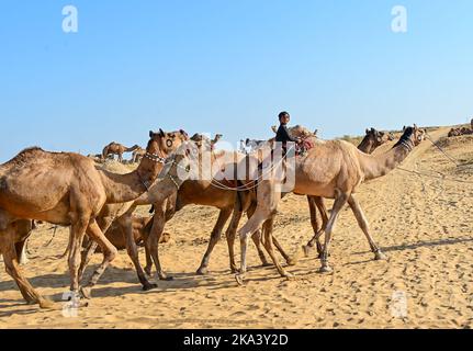 Ajmer, Indien. 30. Oktober 2022. Die Pushkar Fair (Pushkar Camel Fair) oder Pushkar Mela, wie es vor Ort als bekannt ist, ist eine jährliche fünf Tage Kamel-und Viehmarkt in der Stadt Pushkar, Indien am 30. Oktober statt, 2022. (Foto: Shaukat Ahmed/Pacific Press/Sipa USA) Quelle: SIPA USA/Alamy Live News Stockfoto