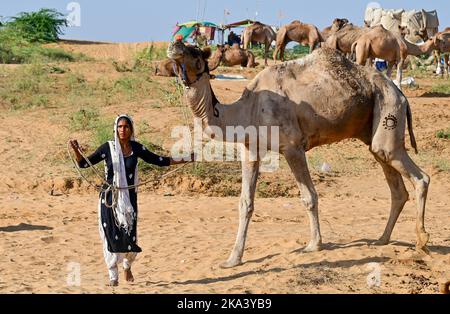 Ajmer, Indien. 30. Oktober 2022. Die Pushkar Fair (Pushkar Camel Fair) oder Pushkar Mela, wie es vor Ort als bekannt ist, ist eine jährliche fünf Tage Kamel-und Viehmarkt in der Stadt Pushkar, Indien am 30. Oktober statt, 2022. (Foto: Shaukat Ahmed/Pacific Press/Sipa USA) Quelle: SIPA USA/Alamy Live News Stockfoto