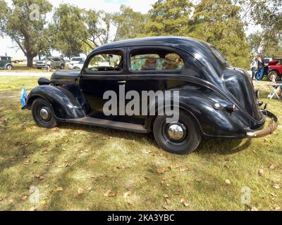 Alte schwarze Plymouth zweitürige Fastback-Limousine um 1937 auf dem Land geparkt. Seitenansicht. Naturrasen und Bäume. Vorderansicht. Oldtimer-Show Stockfoto
