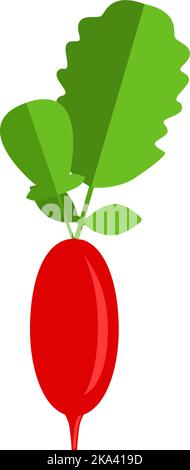 Roter Rettich mit grünen Spitzen. Vektor-flache Illustration über einen gesunden Lebensstil. Stock Vektor