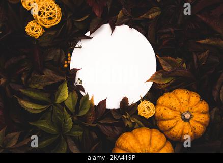 Horizontaler, flacher weißer, runder Textraum auf Laubhintergrund. Сircle umrahmt von Blättern Kürbisse und stilisierte Kugeln - für Logo, Text. Stockfoto