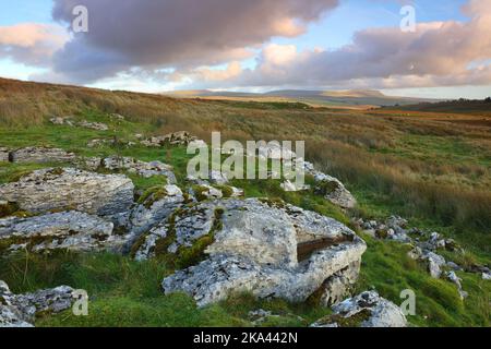Blick von Batty Moss in Richtung Pen-y-Ghent. Yorkshire Dales National Park, England, Großbritannien. Stockfoto