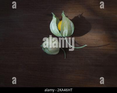 Goldenbeeren auf dem dunklen Holzhintergrund. Physalis peruviana. Geerntete Stachelbeere. Stockfoto