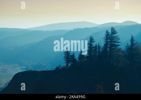 Die von Kiefern gesäumten Klippen entlang der Oregon Columbia River Gorge, mit den in der Ferne gelegenen Hügeln in einer trüben blauen Farbe. Stockfoto