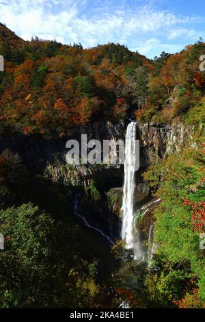 Wunderschöne Landschaft von Japan Nikko Kegon Falls in der Herbstsaison Stockfoto