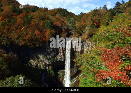 Wunderschöne Landschaft von Japan Nikko Kegon Falls in der Herbstsaison Stockfoto