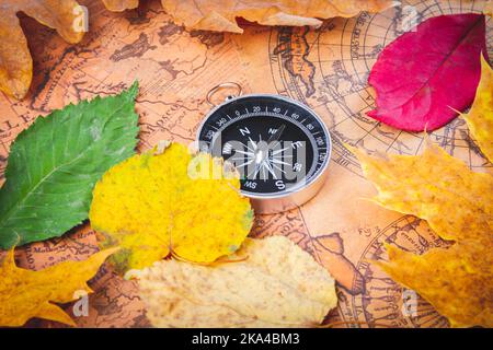 Reisekompass auf der Karte in hellen bunten Herbstblättern. Navigation im Herbst.. Stockfoto