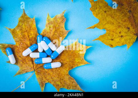 Tabletten auf Herbstblatt. Herbst Ahornblatt und Medikamente auf blauem Hintergrund. Stockfoto