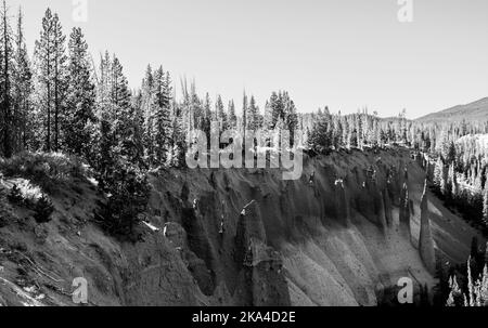 Die Pinnacles, vulkanische Schlote am Rand des Krater-Sees im Oregon Park. Mit einem Kiefernwald, der um die spitzen Türme wächst. Stockfoto