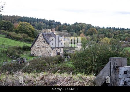 Eine Nachbildung von Joseph Hedley, bekannt als „Joe the Quilters House“, der 1826 mit Originalsteinarbeiten im Beamish Living Museum ermordet wurde Stockfoto