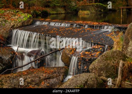 Cerna Desna Bach in Jizerske Berge im Herbst Farbe frischen Morgen Stockfoto