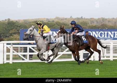 Ascot, Bergen, Großbritannien. 29.. Oktober 2022. Pferd (Nr. 8) Gumball von Paddy Brennan und Pferd Frero Banbou von Jockey Charlie Deutsch in der Byrne Group Handicap Steeple Chase auf der Ascot Racecourse. Quelle: Maureen McLean/Alamy Stockfoto