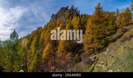 Am Fuße des Oronaye-Gebirges: Herbst im Maira-Tal im südlichen Piemont Stockfoto