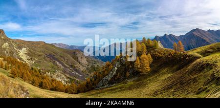 Am Fuße des Oronaye-Gebirges: Herbst im Maira-Tal im südlichen Piemont Stockfoto