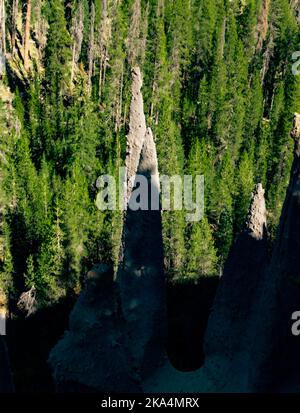 Die Pinnacles, vulkanische Schlote am Rand des Krater-Sees im Oregon Park. Mit einem Kiefernwald, der um die spitzen Türme wächst. Stockfoto