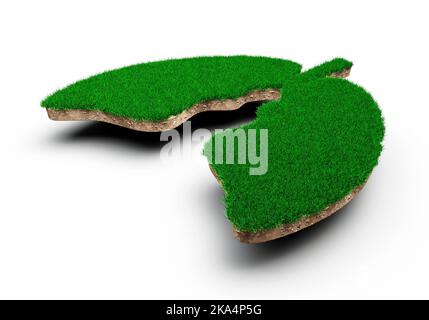 Eine 3D Illustration der Lungenform, die aus grünem Gras und einer felsigen Bodenstruktur auf weißem Hintergrund besteht Stockfoto