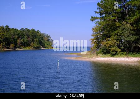 Blick auf den Toledo Bend Stausee vom South Toledo Bend State Park in Anacoco, LA Stockfoto