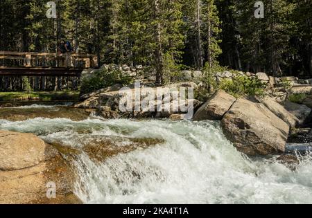 Wasserkaskaden über dem Felsschelf im Tuolmne-Fluss Stockfoto