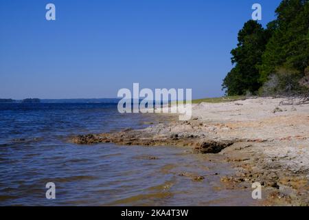 Dies ist ein Blick auf den Toledo Bend Reservoir von den Wanderwegen am South Toledo Bend State Park in Anacoco Louisiana. Stockfoto