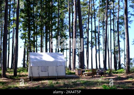 Blick auf den Toledo Bend Reservoir vom South Toledo Bend State Park in Louisiana, mit Glamping-Zelt mit Blick auf den See. Stockfoto