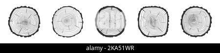 Symbole für Baumringe festgelegt. Querschnittsfläche des Kofferraums. Dendrochronologie-Methode zur Bestimmung des Baumalters. Holztextur Doodle Stempel Sammlung isoliert auf weißem Hintergrund. Vektorgrafik handgezeichnete Illustration Stock Vektor