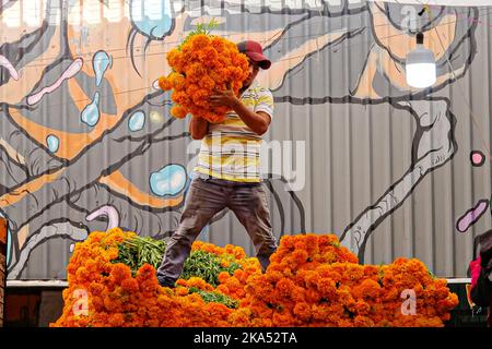 Mexiko-Stadt, Mexiko. 31. Oktober 2022. Arbeiter entladen Büschel von cempasuchil Blumen, die traditionelle Day of the Dead Blume verwendet, um Altäre und Gräber während des jährlichen Festivals auf dem Jamaica Flower Market schmücken, 31. Oktober 2022 in Mexiko-Stadt, Mexiko. Quelle: Richard Ellis/Richard Ellis/Alamy Live News Stockfoto