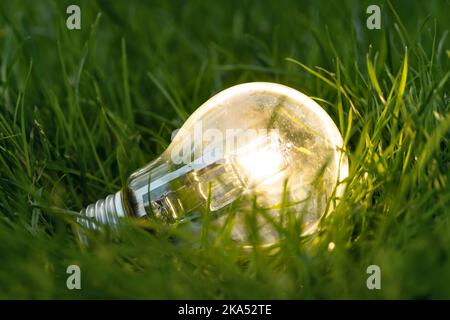 Nahaufnahme der leuchtenden Glühbirne mit Naturhintergrund als Symbol für die Reduzierung des Energieverbrauchs. Konzept der Rettung oder Schutz des Planeten oder der Welt. Stockfoto