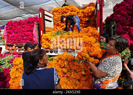 Mexiko-Stadt, Mexiko. 31. Oktober 2022. Mexikanische Frauen kaufen Büschel von cempasuchil Blumen, die traditionelle Day of the Dead Blume verwendet, um Altäre und Gräber während des jährlichen Festivals auf dem Jamaica Flower Market schmücken, 31. Oktober 2022 in Mexiko-Stadt, Mexiko. Quelle: Richard Ellis/Richard Ellis/Alamy Live News Stockfoto