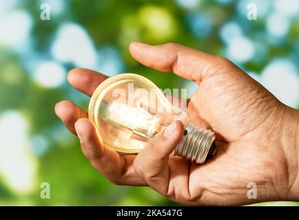 Nahaufnahme der leuchtenden Glühbirne mit Naturhintergrund als Symbol für die Reduzierung des Energieverbrauchs. Konzept der Rettung oder Schutz des Planeten oder der Welt. Stockfoto