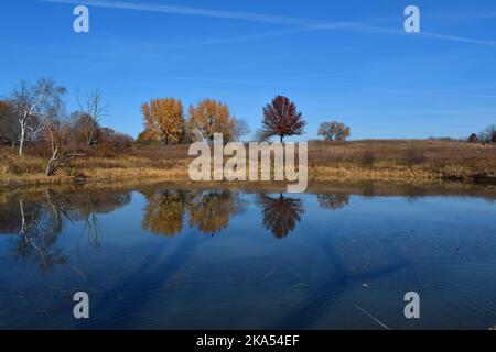 Herbstfarben im Südwesten von Wisconsin Stockfoto