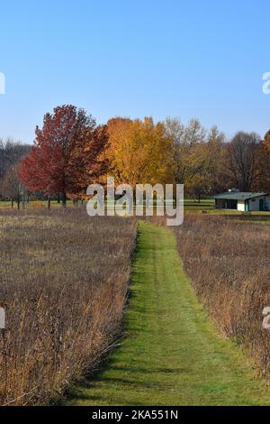 Herbstfarben im Südwesten von Wisconsin Stockfoto