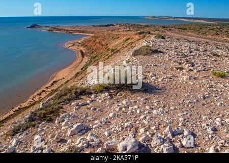 Eagle Bluff, ein beliebter Aussichtspunkt für Meerestiere an der Shark Bay Stockfoto