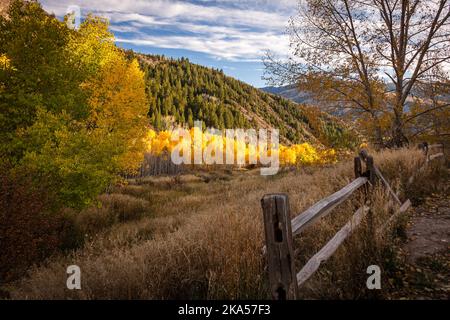 Fall in Colorado liefert unbeschreibliche Momente, die nur mit einem Kameraobjektiv erklärt werden können. Dieses Foto soll inspirieren, motivieren und entspannen. Stockfoto