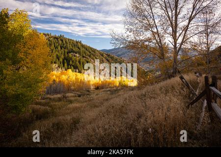 Fall in Colorado liefert unbeschreibliche Momente, die nur mit einem Kameraobjektiv erklärt werden können. Dieses Foto soll inspirieren, motivieren und entspannen. Stockfoto