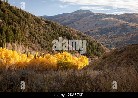 Fall in Colorado liefert unbeschreibliche Momente, die nur mit einem Kameraobjektiv erklärt werden können. Dieses Foto soll inspirieren, motivieren und entspannen. Stockfoto