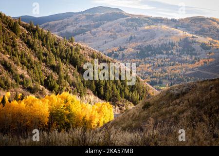 Fall in Colorado liefert unbeschreibliche Momente, die nur mit einem Kameraobjektiv erklärt werden können. Dieses Foto soll inspirieren, motivieren und entspannen. Stockfoto