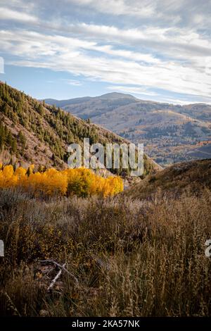 Fall in Colorado liefert unbeschreibliche Momente, die nur mit einem Kameraobjektiv erklärt werden können. Dieses Foto soll inspirieren, motivieren und entspannen. Stockfoto