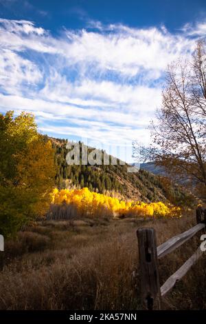 Fall in Colorado liefert unbeschreibliche Momente, die nur mit einem Kameraobjektiv erklärt werden können. Dieses Foto soll inspirieren, motivieren und entspannen. Stockfoto