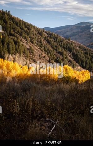 Fall in Colorado liefert unbeschreibliche Momente, die nur mit einem Kameraobjektiv erklärt werden können. Dieses Foto soll inspirieren, motivieren und entspannen. Stockfoto