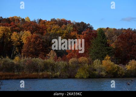 Herbstfarben im Südwesten von Wisconsin Stockfoto